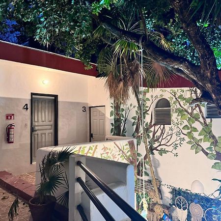 Hotel Ha Garden Gallery - 5Th Avenue بلايا ديل كارمن المظهر الخارجي الصورة