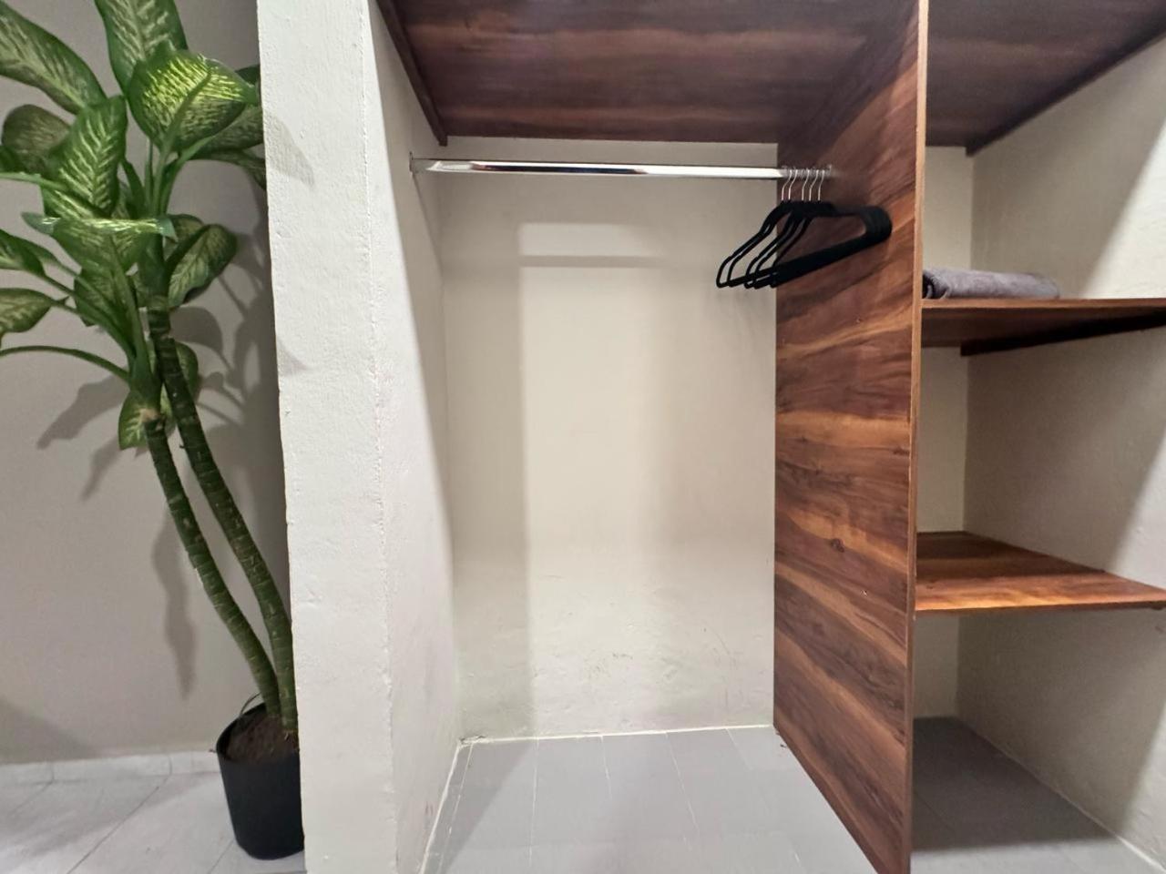 Hotel Ha Garden Gallery - 5Th Avenue بلايا ديل كارمن المظهر الخارجي الصورة