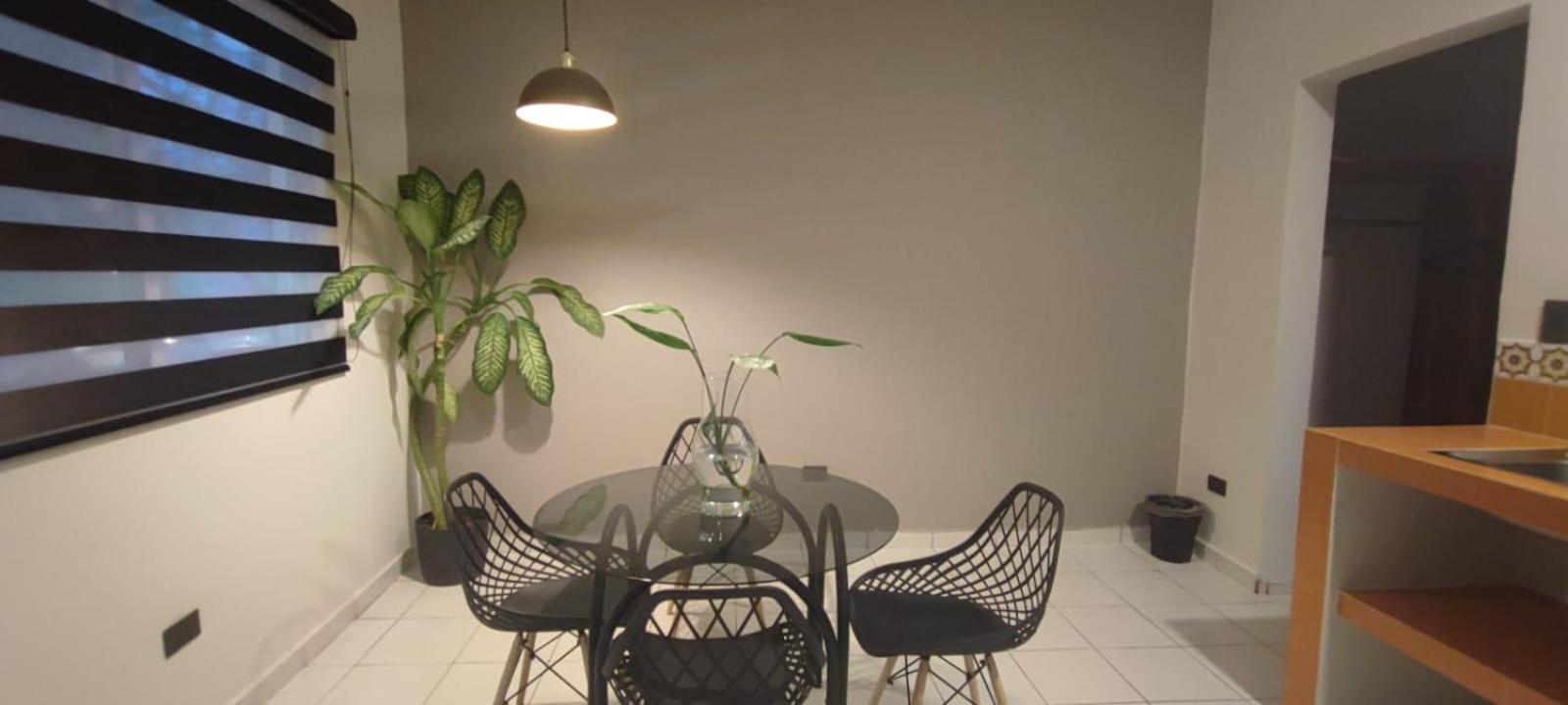 Hotel Ha Garden Gallery - 5Th Avenue بلايا ديل كارمن المظهر الخارجي الصورة