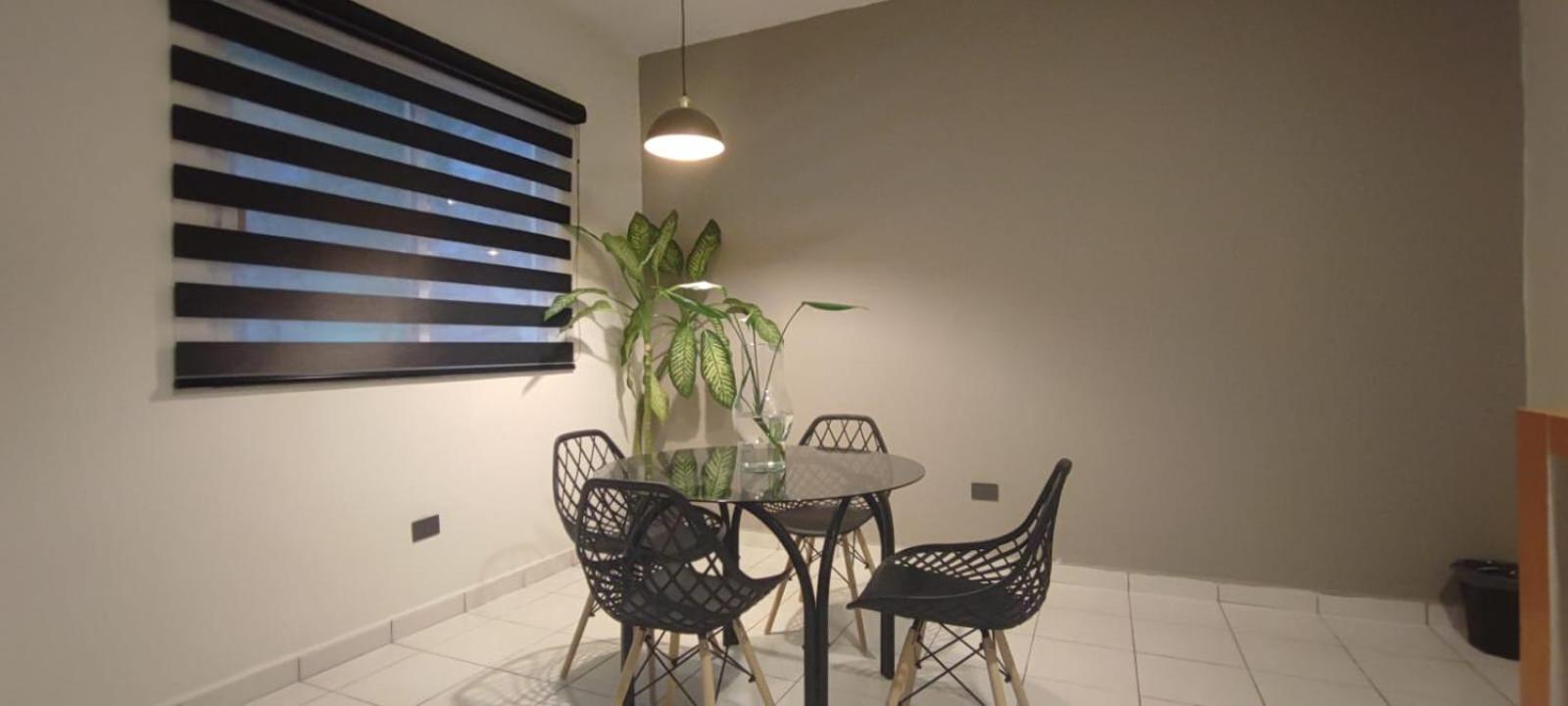 Hotel Ha Garden Gallery - 5Th Avenue بلايا ديل كارمن المظهر الخارجي الصورة
