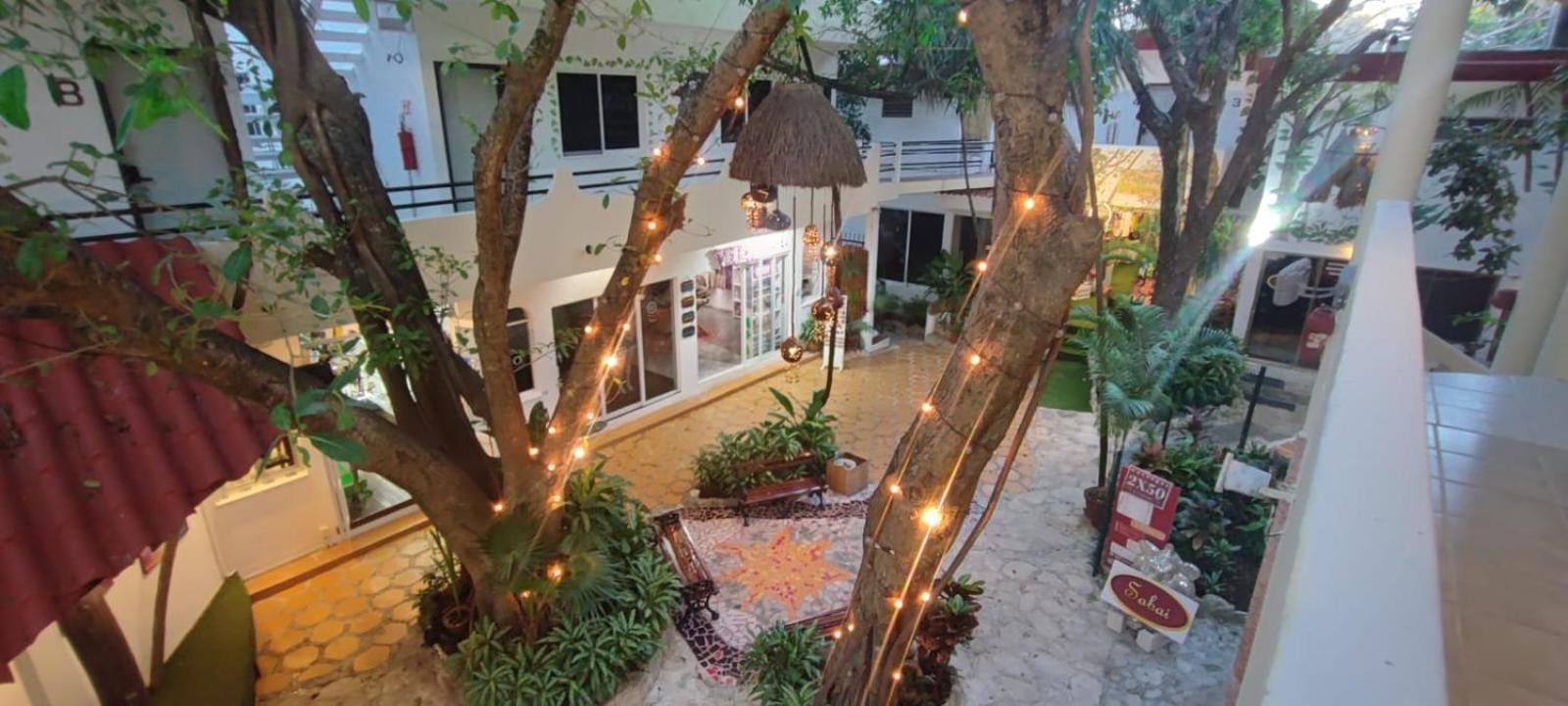 Hotel Ha Garden Gallery - 5Th Avenue بلايا ديل كارمن المظهر الخارجي الصورة