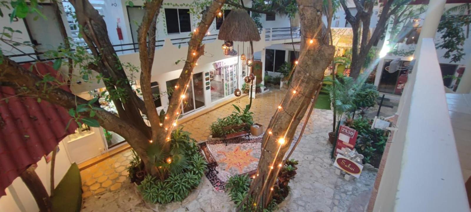 Hotel Ha Garden Gallery - 5Th Avenue بلايا ديل كارمن المظهر الخارجي الصورة