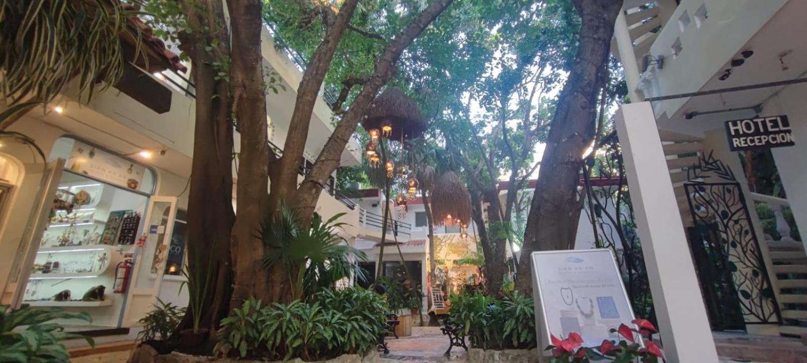 Hotel Ha Garden Gallery - 5Th Avenue بلايا ديل كارمن المظهر الخارجي الصورة