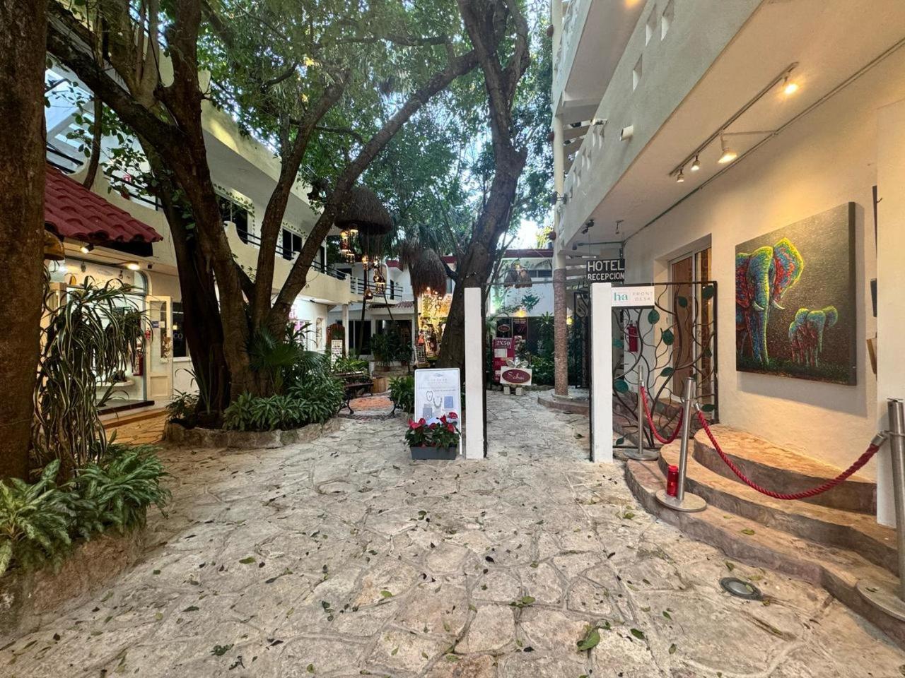 Hotel Ha Garden Gallery - 5Th Avenue بلايا ديل كارمن المظهر الخارجي الصورة